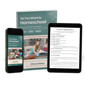 So You Want To Homeschool: Ebook